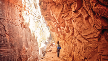 Smart Reservoir Modeling Aspen RMS 