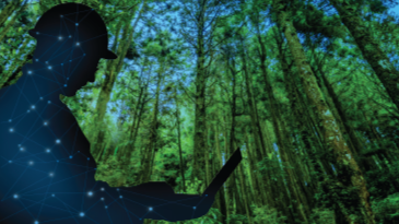 Aspen Mtell Delivers Higher Throughput, Greater Asset Availability and Lower Maintenance Costs for Veracel 