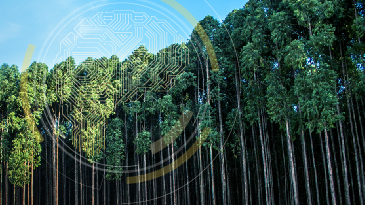 Brazilian Pulp Producer Improves Planning, Decision-Making with Industrial AI