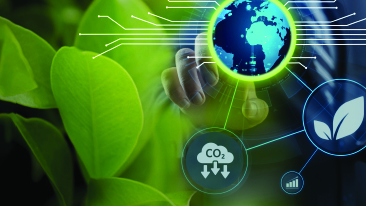 Executive Brief: Digitalization Strategies to Gain Leadership in Sustainability 