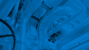 Interview_wExpert_Stuart_Forrest