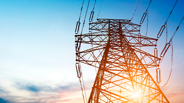 ComEd DERMS Webinar (APAC): Flexible DER Grid Integration