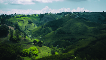 Webinar: Updating Velocity and Structural Models through the Tomography Method - A Colombian Foothills Case Study