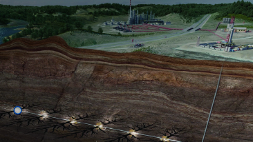 Video: Big Loop Ecosystem